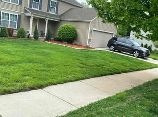 Danette B.'s Lawn Service service result