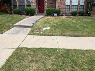 Sara M.'s Lawn Mowing Service service result