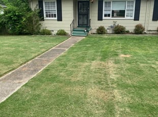 Sarah W.'s Lawn Service service result