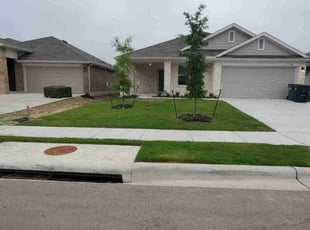 Trace W.'s Lawn Maintenance service result