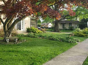 Robb L.'s Lawn Mowing service result
