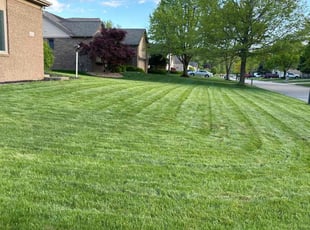 Jessica B.'s Lawn Mowing service result