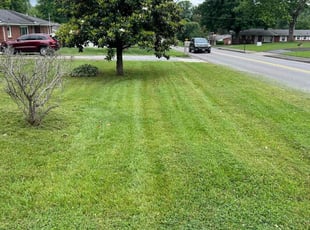 James G.'s Lawn Service service result