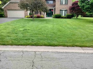asaad i.'s Lawn Care service result