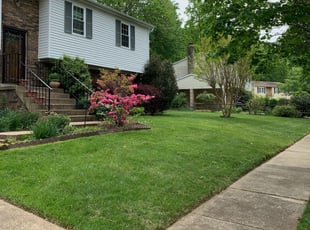 Felicia S.'s Lawn Care service result