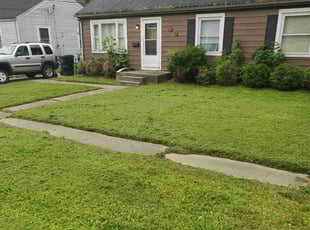 Qiong Z.'s Lawn Mowing Service service result