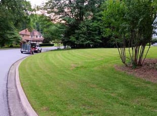 Tracy B.'s Lawn Mowing Service service result