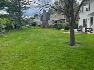 Bob X.'s Lawn Maintenance service result