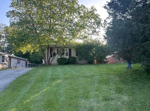 Courtney C.'s Lawn Mowing service result