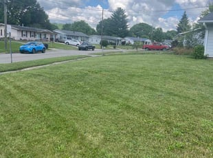 Tiffany M.'s Lawn Mowing Service service result