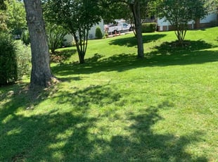 Rebecca C.'s Lawn Maintenance service result