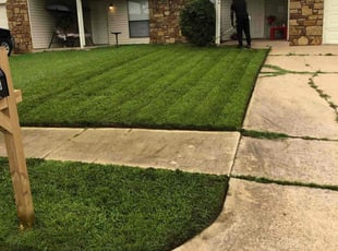 Ijaz S.'s Lawn Mowing Service service result