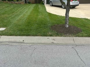 Brian C.'s Lawn Service service result