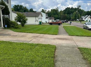 Penelope T.'s Lawn Care service result