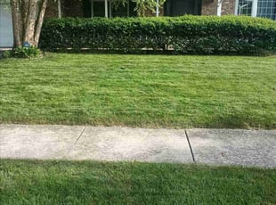 Derek T.'s Lawn Maintenance service result