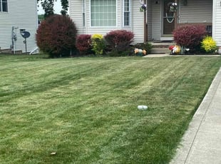 Juan W.'s Grass Cutting service result