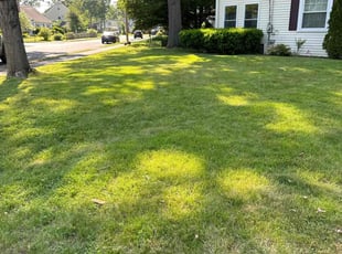 Milton F.'s Lawn Maintenance service result
