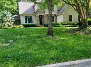 David T.'s Lawn Care service result
