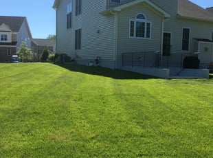 Kareemah M.'s Lawn Mowing Service service result