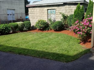 Myra B.'s Lawn Mowing service result
