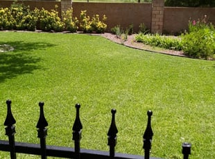 Patricia O.'s Lawn Care service result