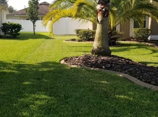 Jennifer T.'s Grass Cutting service result