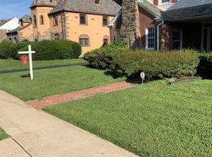 Philip P.'s Lawn Mowing service result