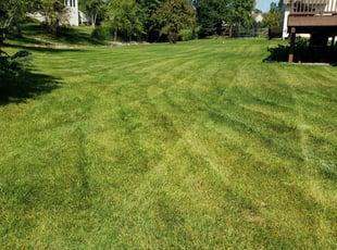 Susan L.'s Grass Cutting service result