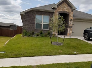 Michael R.'s Lawn Mowing service result