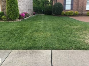 Scott S.'s Lawn Service service result