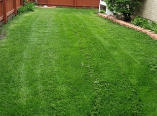 Stephanie T.'s Grass Cutting service result