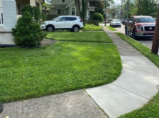 Nicole N.'s Lawn Service service result