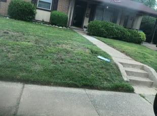 Elizabeth A.'s Lawn Maintenance service result