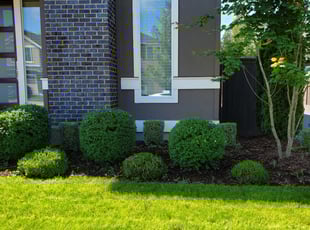 Ashraf M.'s Lawn Mowing service result