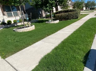 Ruth S.'s Lawn Service service result