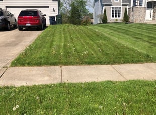 John P.'s Lawn Maintenance service result