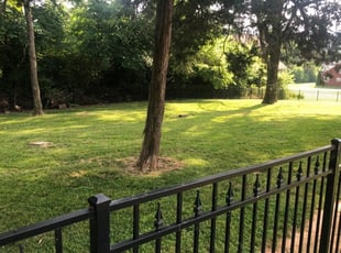 Andre D.'s Grass Cutting service result