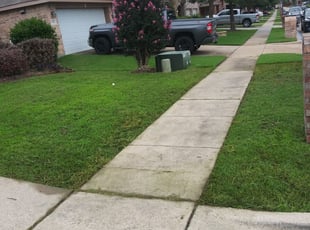 Mike F.'s Grass Cutting service result