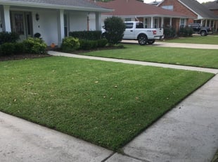 Charles F.'s Lawn Service service result