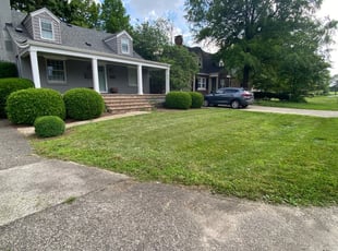 Michele G.'s Lawn Service service result