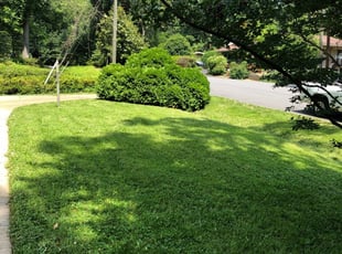 John E.'s Lawn Service service result