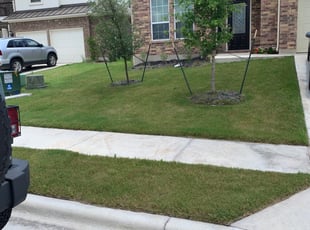 Carol H.'s Lawn Care service result