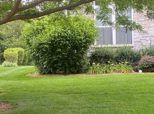 Tom C.'s Lawn Maintenance service result