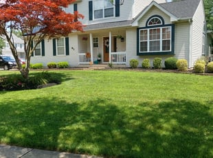 James A.'s Yard Cutting service result