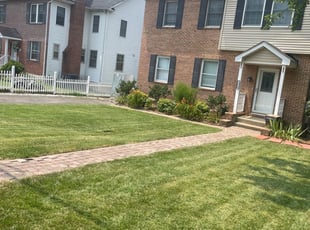 Heidi L.'s Lawn Care service result