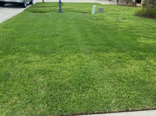 GRACE F.'s Lawn Mowing service result