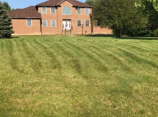 Christina L.'s Lawn Mowing Service service result
