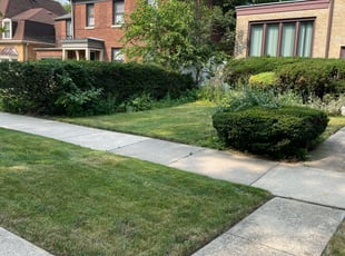 Craig W.'s Grass Cutting service result