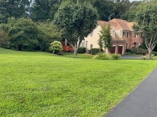 Claudia P.'s Lawn Mowing service result