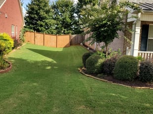 Mahammad A.'s Lawn Mowing Service service result